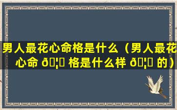 男人最花心命格是什么（男人最花心命 🦉 格是什么样 🦍 的）